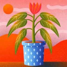 Guide to Caring for Your Plants icon
