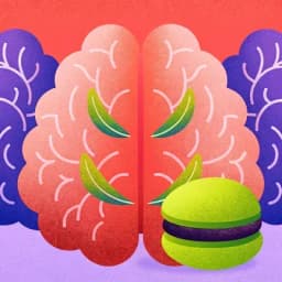 Memory Mastery Challenge icon