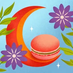 Compagno di Sogni icon